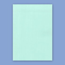 エプソン EPSON 法人税申告書 A4 青 1箱(300枚)(R53T) 目安在庫=○