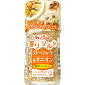 ハウス食品 ハウス 香りソルトガーリックオニオン55（80個）(0000049716221 ×80) 取り寄せ商品