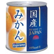 はごろもフーズ はごろも 国産みかん 5号缶 295g（24個）(4902560110020 ×24) 取り寄せ商品
