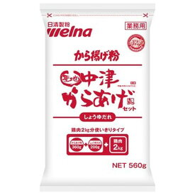 日清製粉ウェルナ 業務用 聖地中津からあげセット醤油560g ×16個セット(4902110335163 x16) 取り寄せ商品