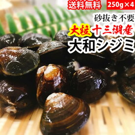 赤羽屋磯辺商店 青森の味！【産直 冷凍】砂抜き不要 十三湖産 大和シジミ 中〜大粒 1kg(4582390700334 ×4) 特産品