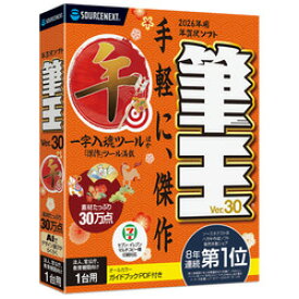 ソースネクスト 筆王Ver.30 法人・官公庁・教育機関向け1台用(対応OS:WIN)(0000355830) 目安在庫=△
