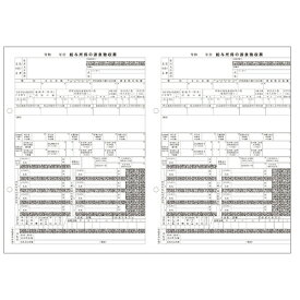 ピーシーエー PCA PA1134GA 電子申告用源泉徴収票 令和7年末用 R07(100名入)(PA1134GAR07) 取り寄せ商品