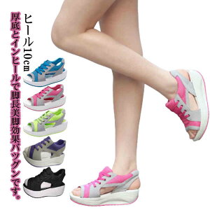 y񂨏oq[10cmC\[Xj[J[T_rGANbVyʃEH[LO₷ghɂ