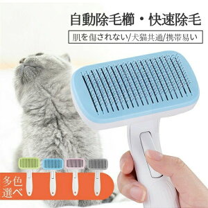 ybgp@Eы@ы@т@L[Ł@с@Eс@ybgp@ybgp@Eс@Ȃ@gю@ybg}bT[W@L