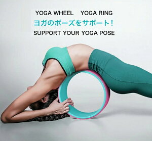 yz㎿ KO@KzC[ 2g[ OF TPEfށ@ABSfށ@g[jO@_CGbg T|[gw _ obNXgb`[@}bT[W@ҒőseBX