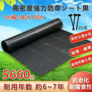 hV[g 0.5-1.5m×100-200m _pV[g  G Ő  Rۍܓ ϗpN 6-7N   lH x͖hV[gEDIY GV[g G쏜