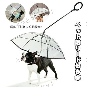 ybgpP LpP pP Lbg hbO ybgpi CObY Au pP J  J̓ɎU [hڑ `F[t  זh~ ybgpJ ~鎞p o