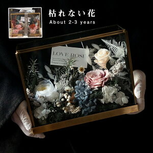 vU[uht[ uU[ht[ AN P[X y AN AWbAH[ z( Ԍt Ă܂ )    c FB   ʉ j L