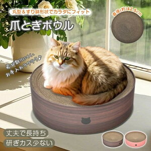 ܂Ƃ Lp܂Ƃ{E L L܌ _{[ ی^ 42.5cm 蔫` JXoɂ LQ Lxbh L pt099