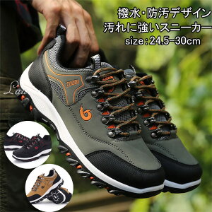 24~30cm Xj[J[ Y fB[X ^C jOV[Y  h ʋ ʊw y L ʋC EH[LOV[Y oRC gbLOV[Y JWA X|[c AEghA