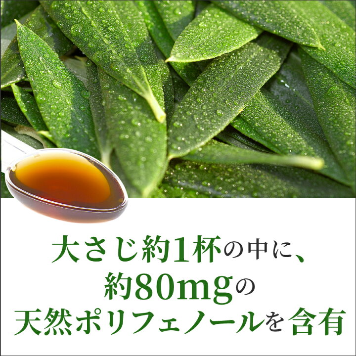 オリーブ葉エキス プレーン味 500ml コンビタ まとめ買い割引クーポン 直輸入 オーストラリア産 オリーヴリーフ オリーブリーフ エキス 蔵