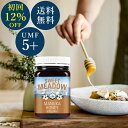 【12%OFF 初回限定お試し】 【1世帯1回のみ】 【送料無料】 マヌカハニー UMF5+ 大容量 500g 【MGO(MG) 83-262mg相当】 UMF...