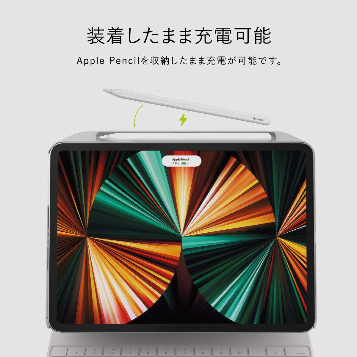 楽天市場】iPad Pro 12.9 2021 2022 ケース Apple Pencil ペン収納 