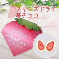 プチギフト かわいい 子供 まるごと苺ピュアショコラ1個 ※お届け期間10月から4月 【正午までのご注文完…