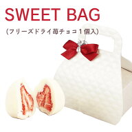 プチギフト 退職 結婚式 SWEET BAG（フリーズドライ苺チョコ1個入）【正午までのご注文完了で当日出荷可…