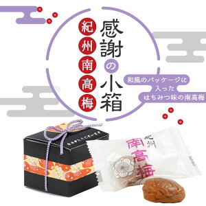 v`Mtg  ސE Yx ӂ̏iIB썂~ja a ~ ~ IB Y 썂~ 肪Ƃ v`Mtg 200~ȉ