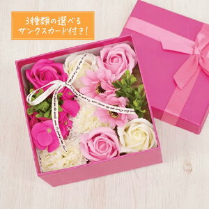 Mtg ͂Ȃ V{t[ 7J[BOX[YsNhbgNAobOt IׂTNXJ[ht@̓  蕨 v[g ̓ Mtg  t[ Ό  