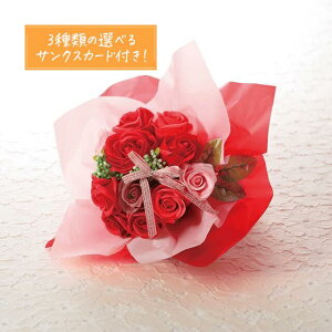 Mtg ͂Ȃ V{t[ 8J[Jtu[P@bh hbgNAobOtIׂTNXJ[ht@蕨 v[g ̓ Mtg  t[ Ό  