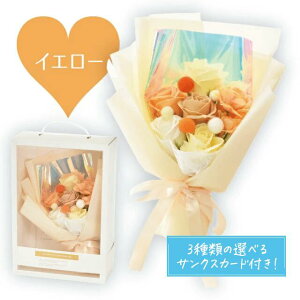 Mtg ͂Ȃ V{t[ v~G[@CG[ IׂTNXJ[ht@蕨 v[g ̓ Mtg  t[ Ό  ΂ \  \[vt[ 