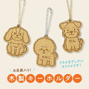  ؐL[z_[ 1  ̎qObY U`[ UL[z_[ v[h }v[ Č `  ViEU[ ~j`AViEU[ ~j`A_bNXt