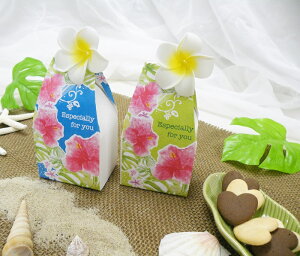 v`Mtg vANbL[ n[gNbL[6 v`Mtg ސE  َq NbL[ ii qǂ