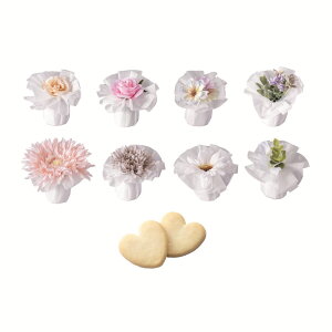 NVbN[Pi  񎟉 v`Mtg NbL[ َq Mtg EFJACe v[g EFfBO o