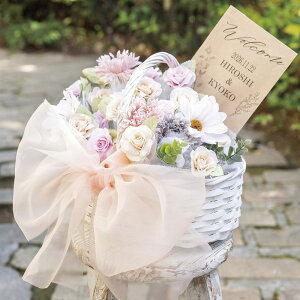 v`Mtg َq NVbN[oXPbg36@  񎟉 َq Mtg EFJACe EFJ{[h  v[g EFfBO o