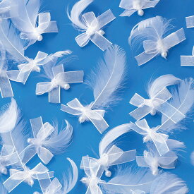 天使の羽シャワー 結婚式 二次会 ウエディング ウェディング ブライダル セレモニーシャワー ウェディングシャワー 演出