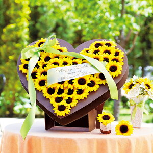 v`Mtg Ђ܂K[f53Zbg v`Mtg َq EFJ{[h JXj I[v LOi z NbL[  q}   {[h