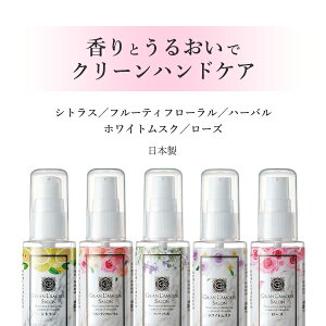 ސE Mtg { AR[ WF O E[ T N[nhWFy5{Zbg5̍A\[g 55mlz55ml  v`Mtg AR[ w ސE Yx  v