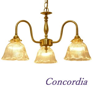 VfA@PB241/3+201/CLR@ 3@|V[O@@吳}ȃNAKXVF[h