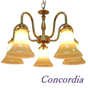 VfA@PB241/5+421/IVO@@5@|V[O@@吳}ȃKXVF[h