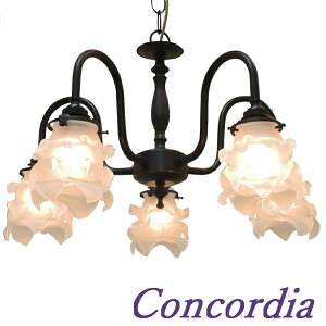 VfA uYF PB241/5/Z+235/SAT@@5@|V[O@@KŇ`̃KXVF[h