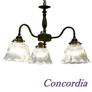 VfA uYF PB811/3/Z+201/CLR@3@|V[O@@ȃNAKXVF[h