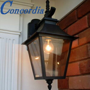 ֏Ɩ EW091/D OƖ GNXeACg |[`Cg A C^A A~ KX AeB[N g gfBVi [bp