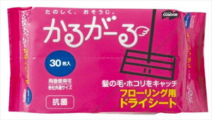 RYƁ@邪[@t[OCp[phCV[g@i30j