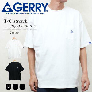 GERRY WF[ Y TVc 傫TCY n Vv |Pbg l T JWA  ĕ AEghA AJW W[ s Lv 30 40