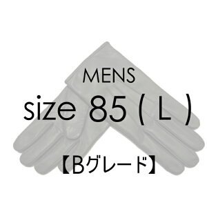 yBO[hi (10%OFF)EY TCY 8.5 ( L )zMEROLA i [ j v ܃U[O[u AEgbg Z[ jp SALE