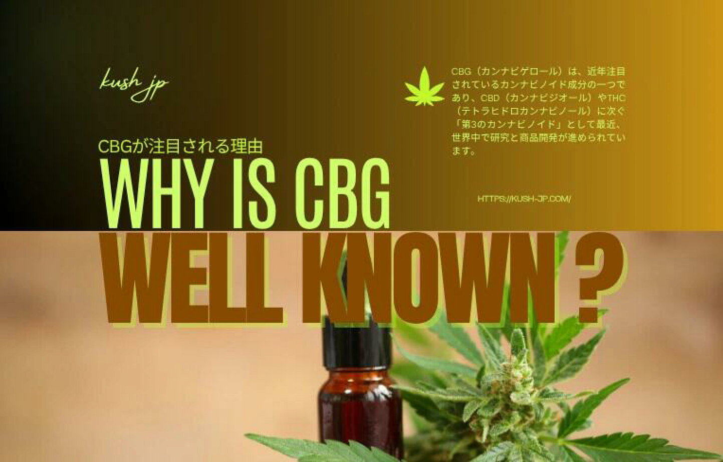 楽天市場 | CBD リキッド専門店 by DEN - CBGはキマる？体感・効果 