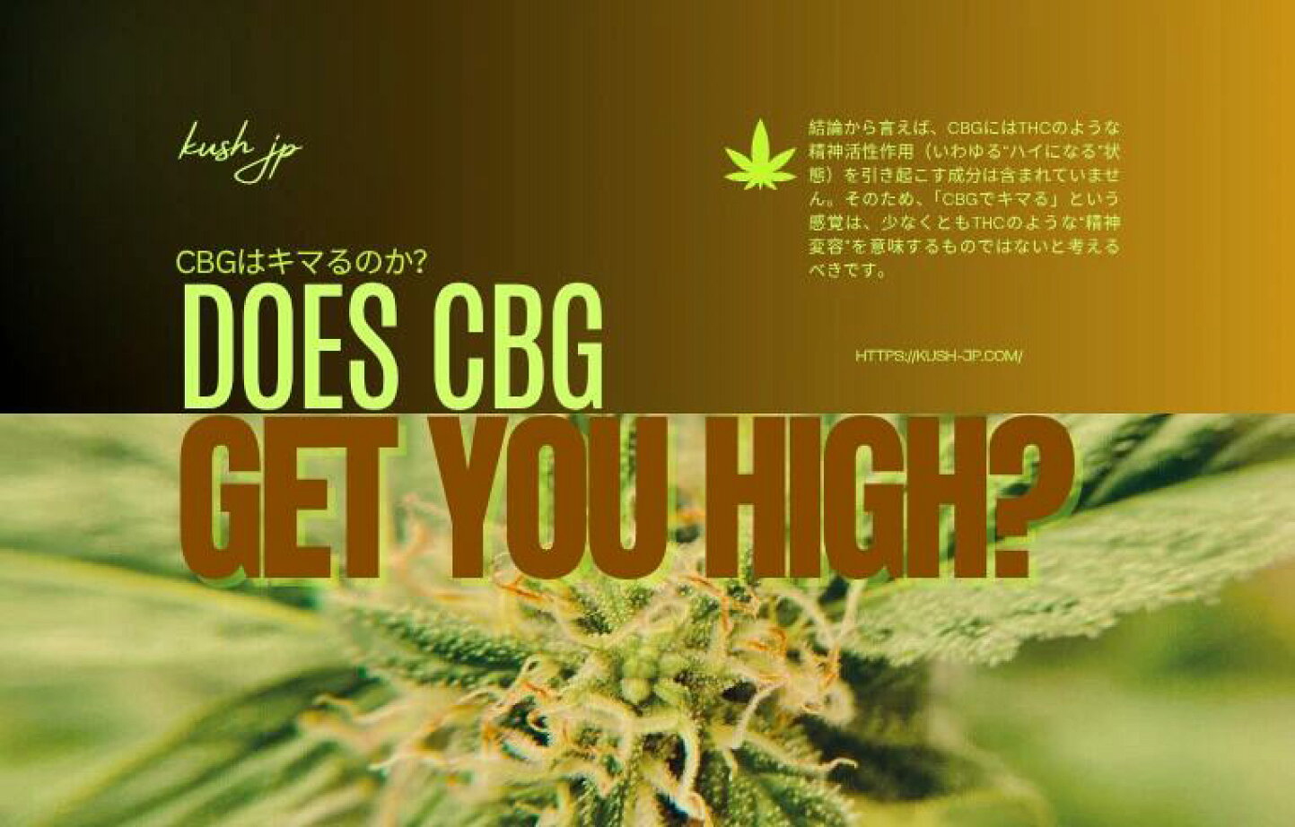 楽天市場 | CBD リキッド専門店 by DEN - CBGはキマる？体感・効果 
