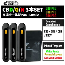 【開けてすぐ吸える】高濃度 KUSH JP 3本セット CBD/CBG/CBNリキッド (1ml×3) 【新基準対応】一体型POD カンナビノイド 本物志向 麻テルペン CDT ライブレジン CBN50% CBG42% CBD48% 合法　国産 日本製 使い捨て ベイプ vape 電子タバコ THCフリー CBC CBT アントラージュ
