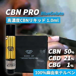 �y���Z�x�zCBN CBD ���L�b�h CBN-PRO- 1ml �u���[�W�F���[�g �J�[�g���b�W �׃C�v vape �J���i�r�X �e���y�� �I�C�� �A�g�}�C�U�[ vg pg �s�g�p �d�q�^�o�R 72% CBN 50% CBG cbd���L�b�h ���Y ���{�� ���@ 51