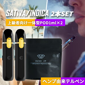 �y��̌^POD 2�{�Z�b�g�z���Z�x CBG CBD CBN ���L�b�h 1ml ×2�{ �y�㋉�Ҍ����z�C���f�B�J�^�T�e�B�o CRDP CRDB HHBD ���L�b�h �׃C�v vape �J���i�r�X �e���y�� �I�C�� ���ቷ���M�f�o�C�X �d�q�^�o�R 