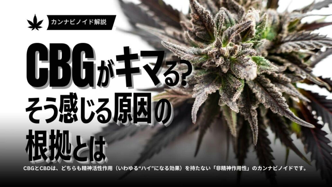 楽天市場 | CBD リキッド専門店 by DEN - CBGはキマる？体感・効果 