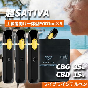 �y��̌^POD 3�{�Z�b�g�z���Z�x CBG CBD ���L�b�h ���T�e�B�o 1.0ml ×3�{�y�㋉�Ҍ����z HHBD CRDB �z�� ���L�b�h �׃C�v vape �y�T�e�B�o�z�J���i�r�X �e���y�� �I�C�� ���ቷ���M �d�q�^�o�R �y�� 