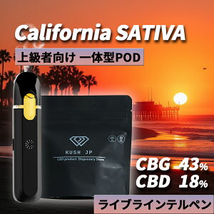 CBN�t���[ �y�g���̂� ��̌^POD�z���Z�x CBG CBD ���L�b�h 1.0ml California SATIVA�y�㋉�Ҍ����z H4CBH CRDP �z�� ���L�b�h �׃C�v vape �J���i�r�X �e���y�� �I�C�� ���ቷ���M vg pg �s�g�p �d�q�^�o�R �y
