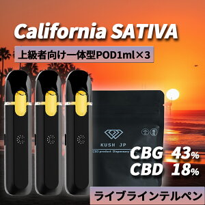 �y��̌^POD 3�{�Z�b�g�z���Z�x CBG CBD ���L�b�h 1ml×3�{ California SATIVA�y�㋉�Ҍ����z H4CBH CRDP �z�� ���L�b�h �׃C�v vape �J���i�r�X �e���y�� �I�C�� �d�q�^�o�R �y�� ���F�|���C�U�[ cbg���L�b