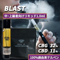 楽天市場】カートリッジ（電子タバコ・ベイプ｜喫煙具）：ホビーの通販