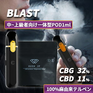 �y�g���̂� ��̌^POD�z���Z�x CBG CBD ���L�b�h 1.0ml BLAST�y���`�㋉�Ҍ����z HHBD �z�� ���L�b�h �׃C�v vape �y�T�e�B�o�z�J���i�r�X �e���y�� �I�C�� ���ቷ���M �d�q�^�o�R �y�� ���F�|���C�U